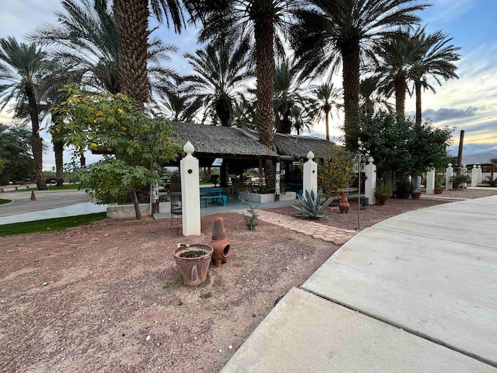 A view of a palm tree lined driveway.
