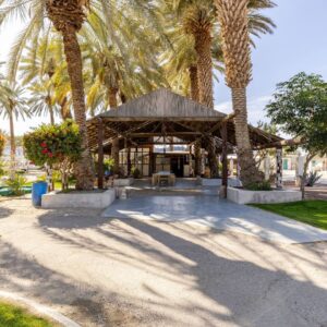 A shaded wooden gazebo surrounded by palm trees in a sunny garden.
