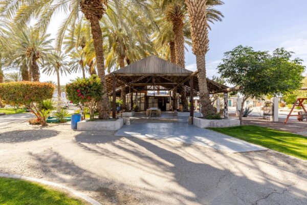 A shaded wooden gazebo surrounded by palm trees in a sunny garden.